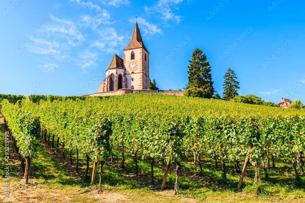 View of old church in vineyards of Hunawihr village, Alsace wine region, France