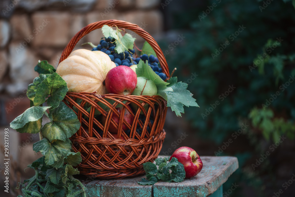 Pumpkin, red apples, pears and grapes with leaves in a rattan wicker basket on a wooden table in the farm garden, the concept of autumn harvest