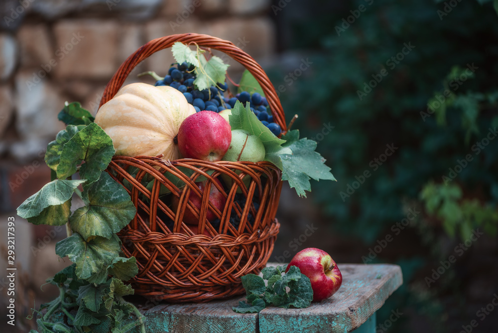 Pumpkin, red apples, pears and grapes with leaves in a rattan wicker basket on a wooden table in the farm garden, the concept of autumn harvest Pumpkin, red apples, pears and grapes with leaves in a rattan wicker basket on a wooden table in the farm garden, the concept of autumn harvest