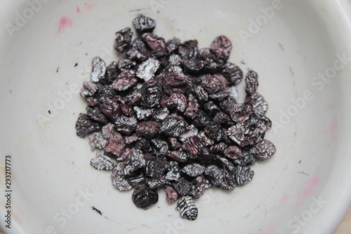 Grana cochinilla
