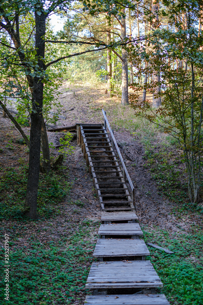 Obraz premium wet wooden footpath in green forest