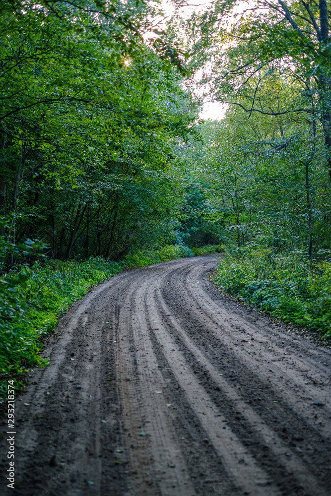 Fototapeta premium dirty gravel road in green forest with wet trees and sun rays