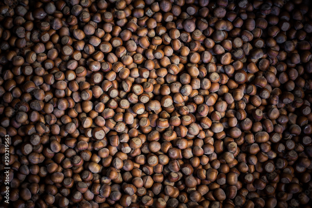 Hazelnuts. Stack of hazelnuts. Food background. Hazelnut background Hazelnuts. Stack of hazelnuts. Food background. Hazelnut background
