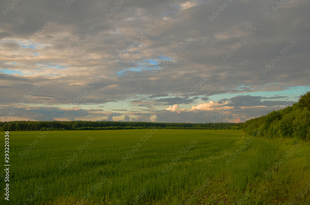 Green field landscape with blue sky and clouds in the evening 