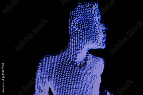 3D human figure in polygonal mesh.