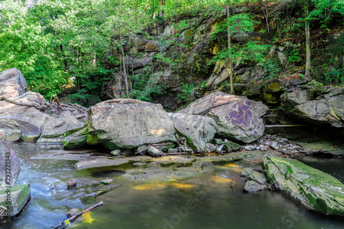 stream in the forest