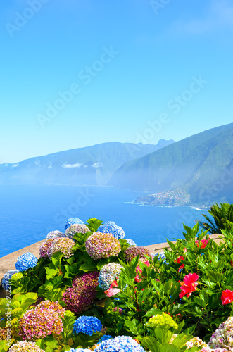 Colorful Hydrangea flowers and the beautiful northern coast of Madeira Island, Portugal. Typical Hortensia flower. Amazing coast by Ribeira da Janela. Atlantic ocean landscape. Haze in background