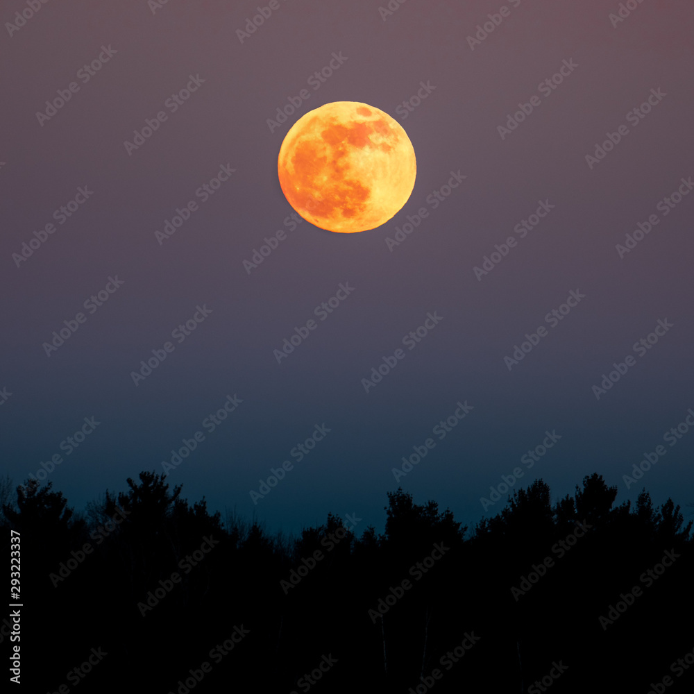 moon in the sky moon in the sky