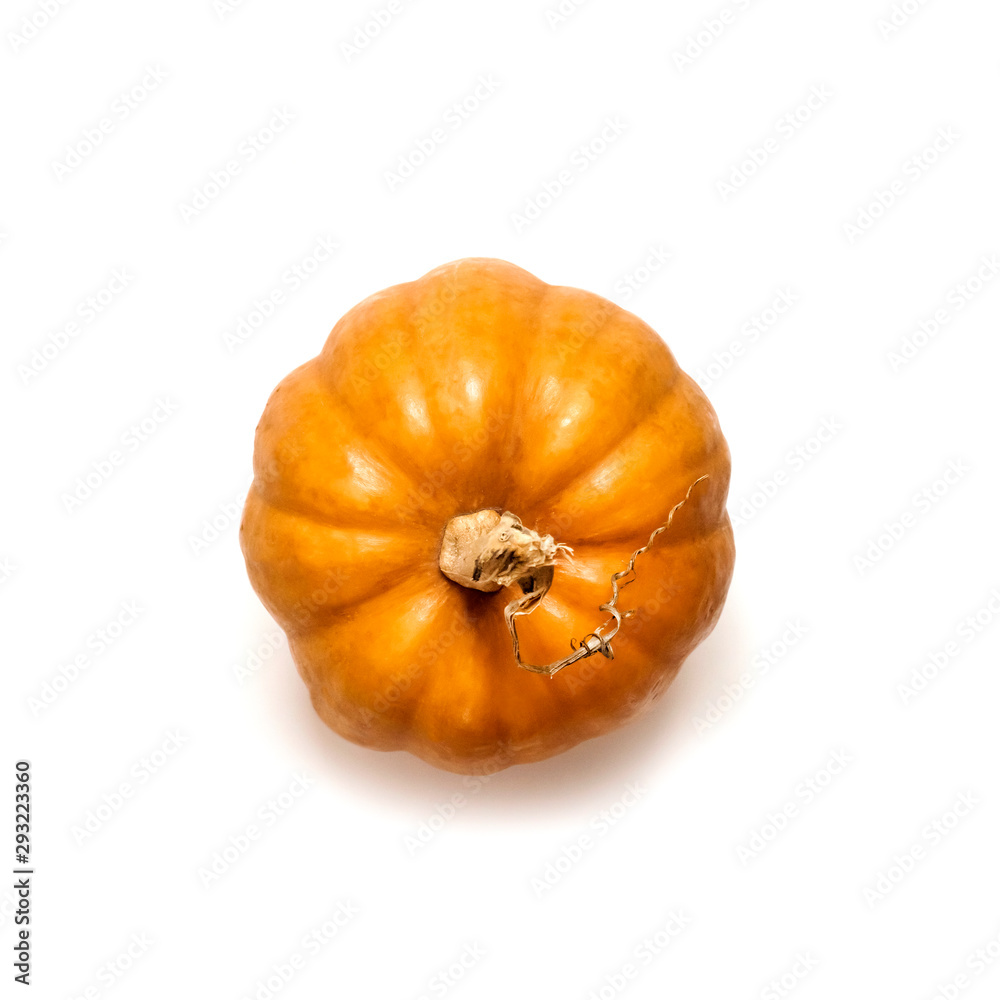 Orange round pumpkin isolated on white background Orange round pumpkin isolated on white background