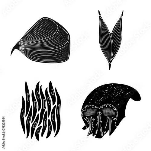Isolated object of human and body symbol. Collection of human and cells vector icon for stock.