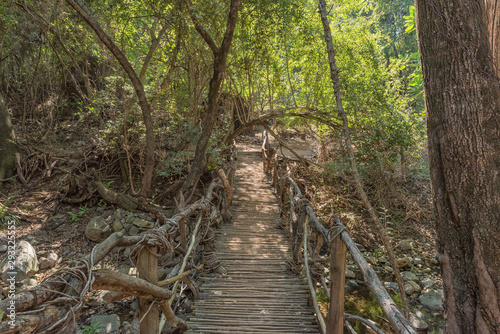 Wooden pedestrian bridge on waterfall trail  Blyde River Canyon