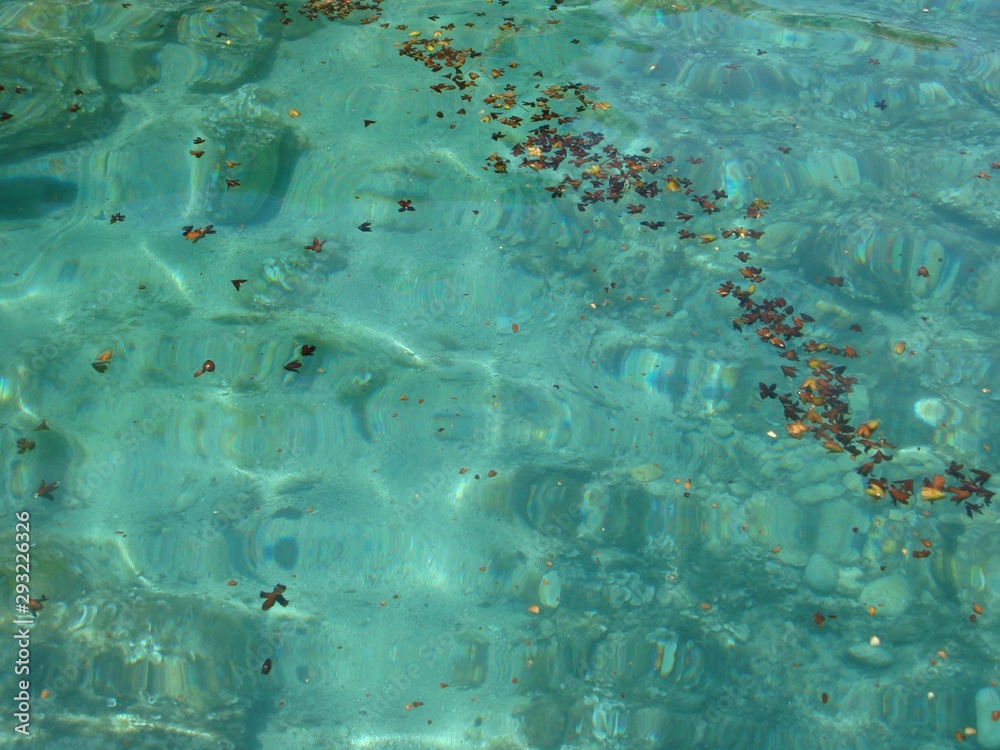 turquoise sea transparent bottom background turquoise sea transparent bottom background