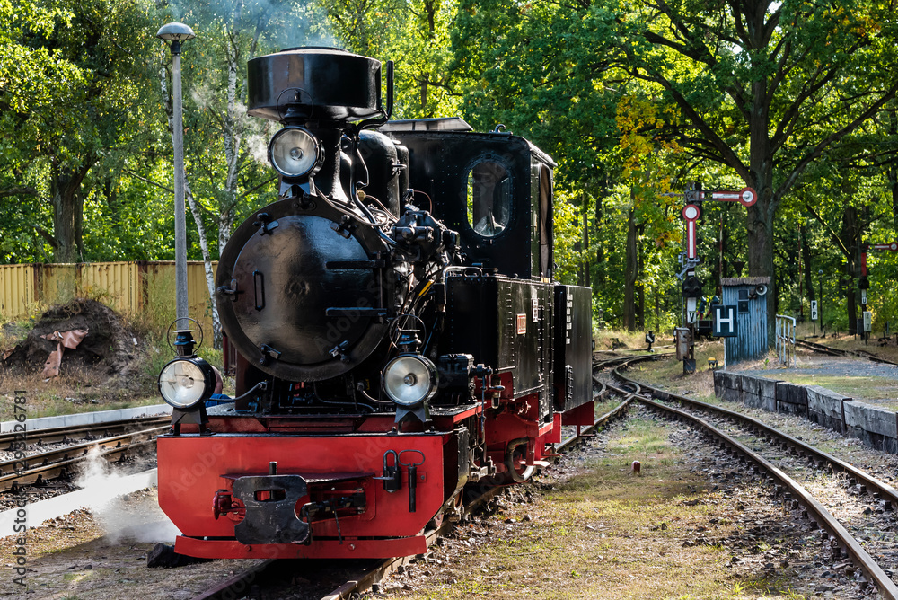 Fototapeta premium A small steam locomotive, Small beautiful steam locomotive