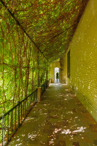 The extensive gardens of the Royal Alc  zar. A gardenof the gallery creates sun protection. Seville  Andalusia  Spain 