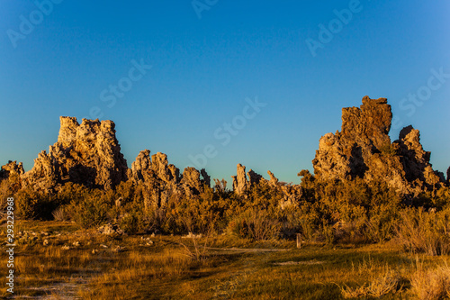 On the bank of the Mono lake