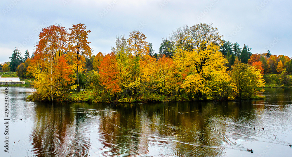 Golden colours of autumn park. Landscape with river and trees. Golden colours of autumn park. Landscape with river and trees.