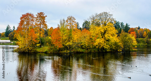 Golden colours of autumn park. Landscape with river and trees.