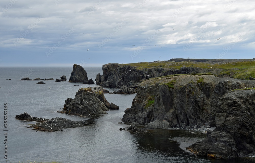  cliffs along  Dungeon Provincial Park, Bonavista Peninsula ; Newfoundland and Labrador Canada