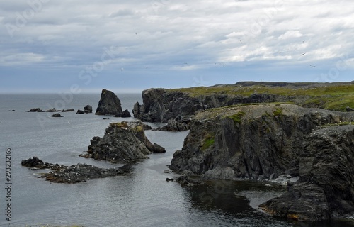  cliffs along Dungeon Provincial Park, Bonavista Peninsula ; Newfoundland and Labrador Canada