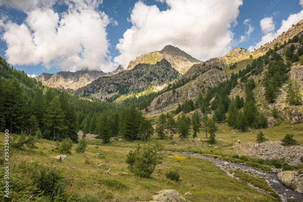 Obraz premium French Alps, Valley of Miracles, pristine nature. National Nature Park of France Mercantour