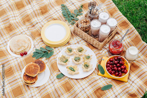 Morning picnic in the park. Tasty food. Snacks and fruits. Picnic basket. Lifestyles