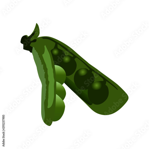 pod of peas vector illustration