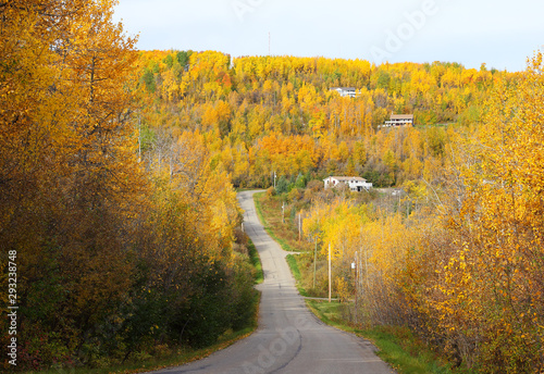 Remote rural homes nestled in Autumn colors.