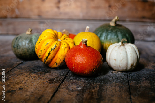 Squash and Pumpkins