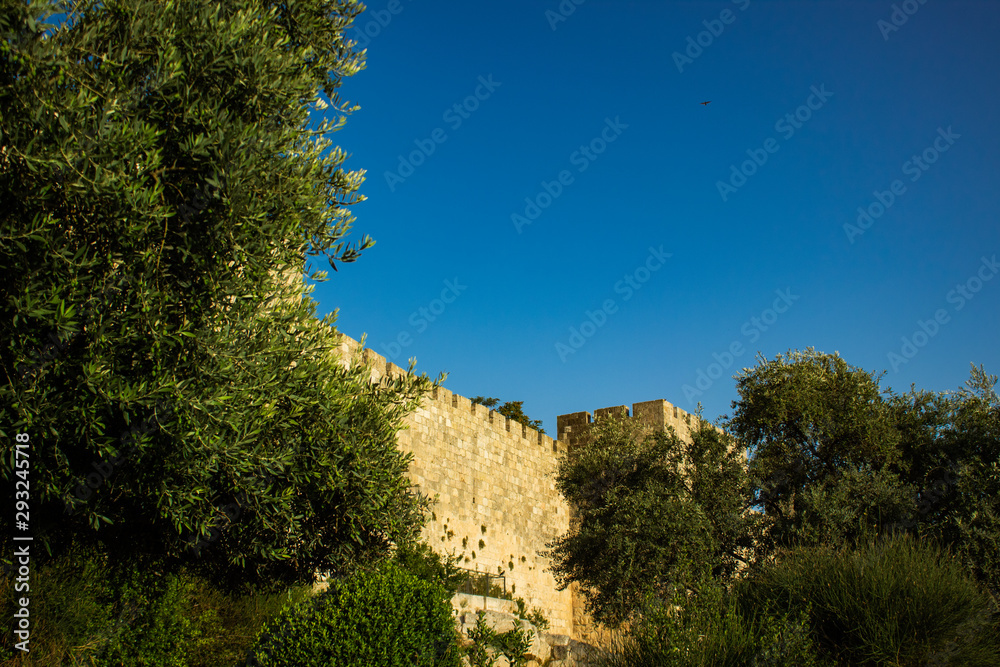 Eastern castle medieval fortification building in tree branches natural frame on empty blue sky background, Middle East ancient architecture stone wall 
