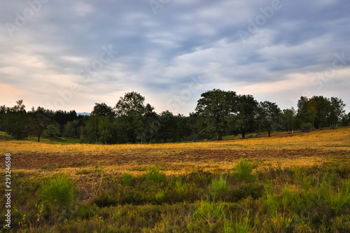 Canvas Print moorland landscape in hdr