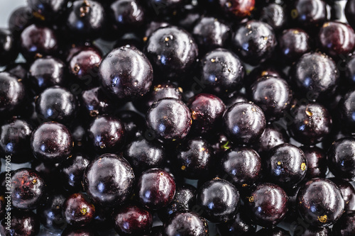 Several Brazilian fruits, called jabuticaba or jaboticaba. Organic fruit and without convergent. Fruits of the month of October.