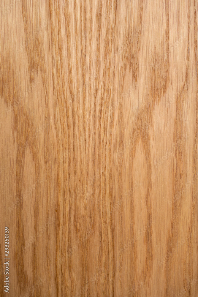 Oak plank. The structure of natural oak. A tangential cut of a tree trunk. Brown natural background. Oak plank. The structure of natural oak. A tangential cut of a tree trunk. Brown natural background.