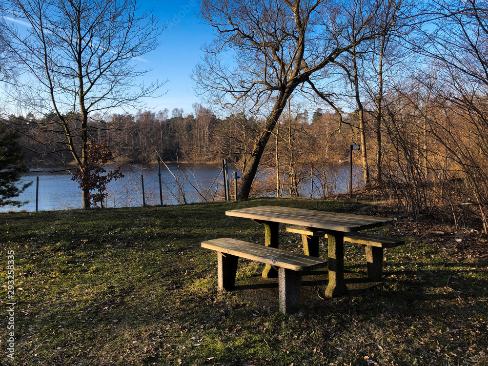 Lake with trees and a bench on the righ side in a sunny day