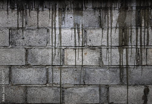 brick / Black and white gray background alternately / With black lines flowing like a river down the wall / The condition is old and worn down / The color of the brick gives an atmosphere of sadness. photo