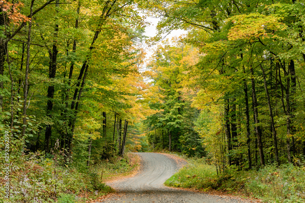 Fototapeta premium Curve on a gravel off grid road landscape