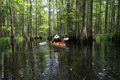 Female kayaker on Fisheating Creek, Florida on calm early summer afternoon amidst cloud and Cypress Trees reflected on creek.