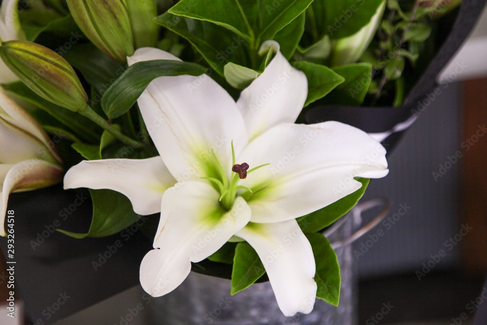 Obraz premium Beautiful Flower arrangement by a professional florist