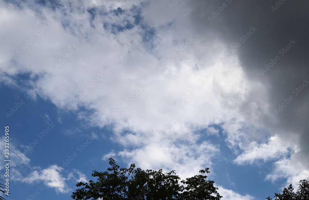 Scenery of dark and white cloudy blue sky over the forest. Scenery of dark and white cloudy blue sky over the forest.