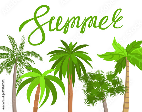 The word summer on a white background. Lettering. Palms. Vector illustration.