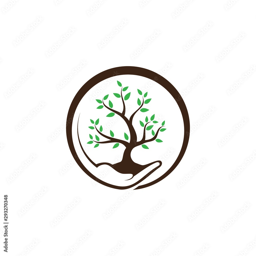 Obraz premium Hand holding plant and grow with green leaf on the white background