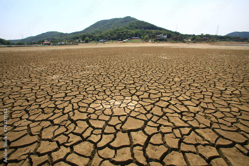 가뭄 drought 갈라진논