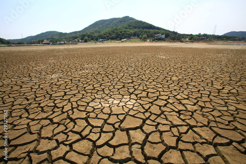 가뭄 drought 갈라진논