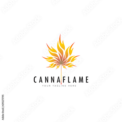 creative logo cannaflame, cannabis leaf with flame style vector 