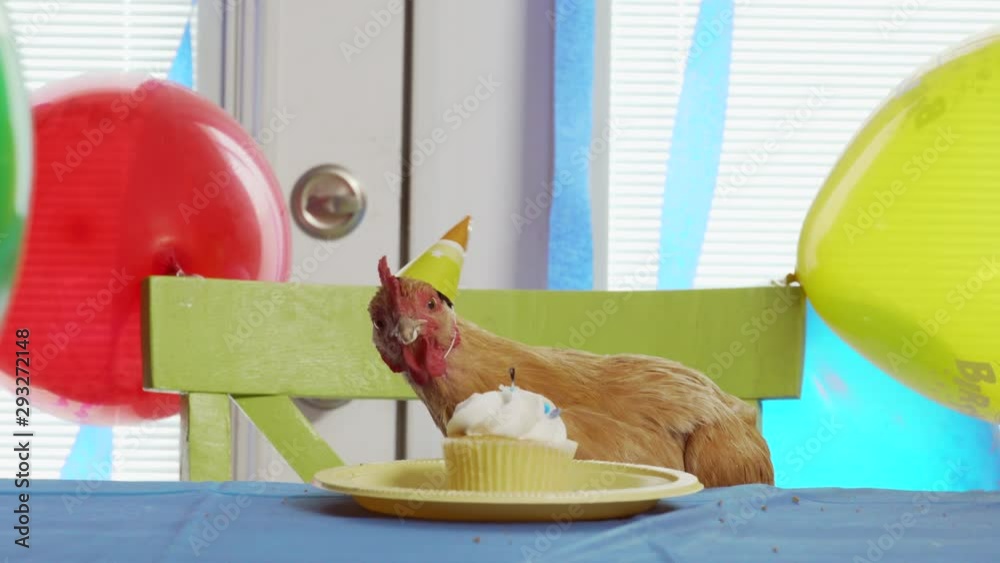 Happy birthday chicken