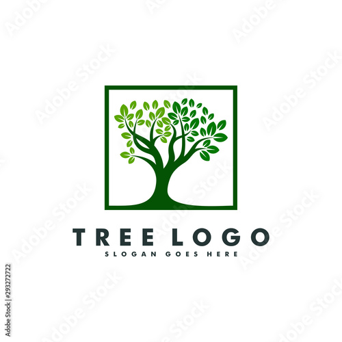 Tree Logo design  Forest icon vector