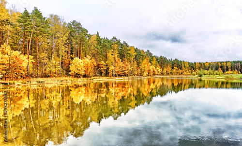 golden autumn landscape with forest trees reflecting in lake water in overcast daylight panorama wide view of yellow red orange green natural color of fall season nature idyllic panoramic wallpaper