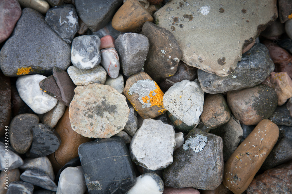 Rocks and lichen Rocks and lichen