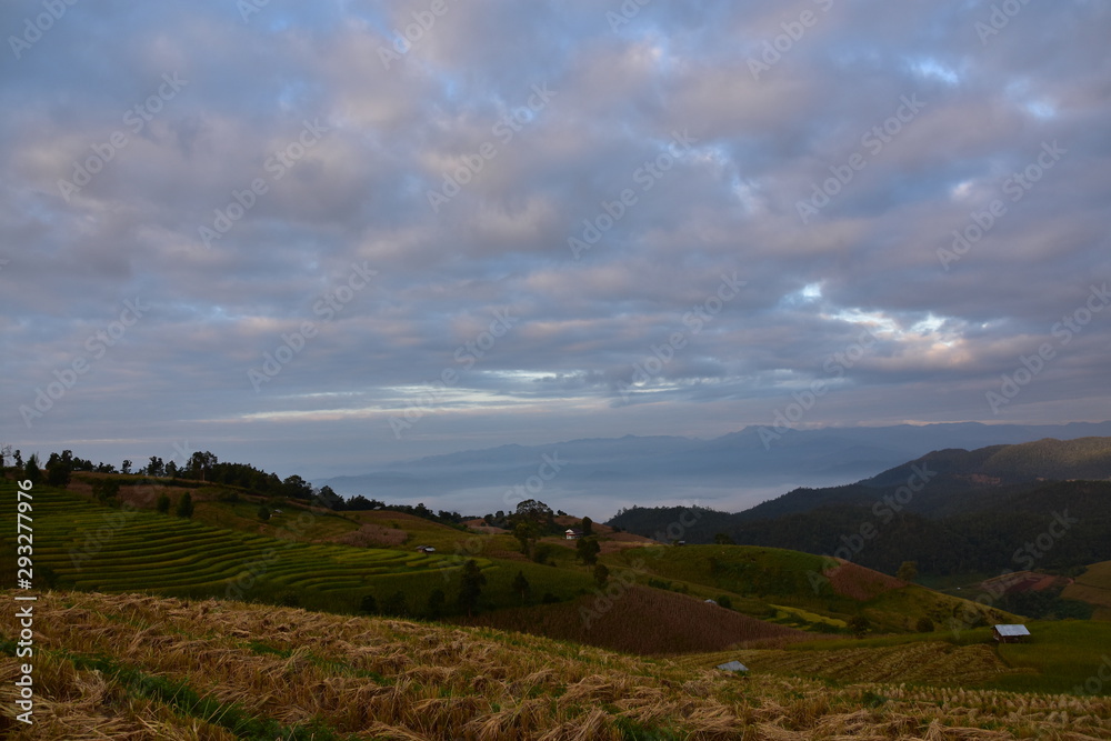 Fototapeta premium Rice fields in the mountains in Thailand