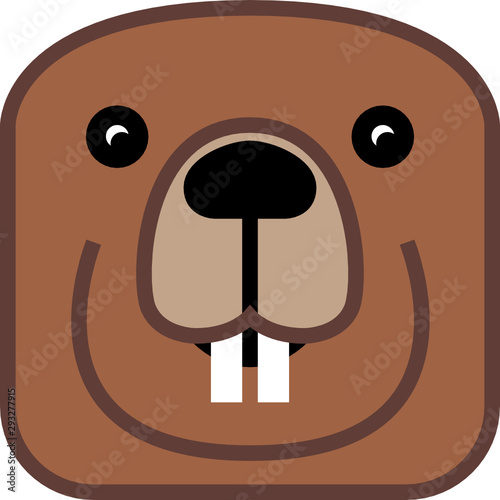 Beaver