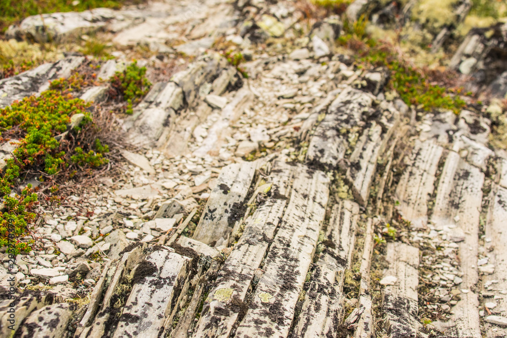Felsen Felsen